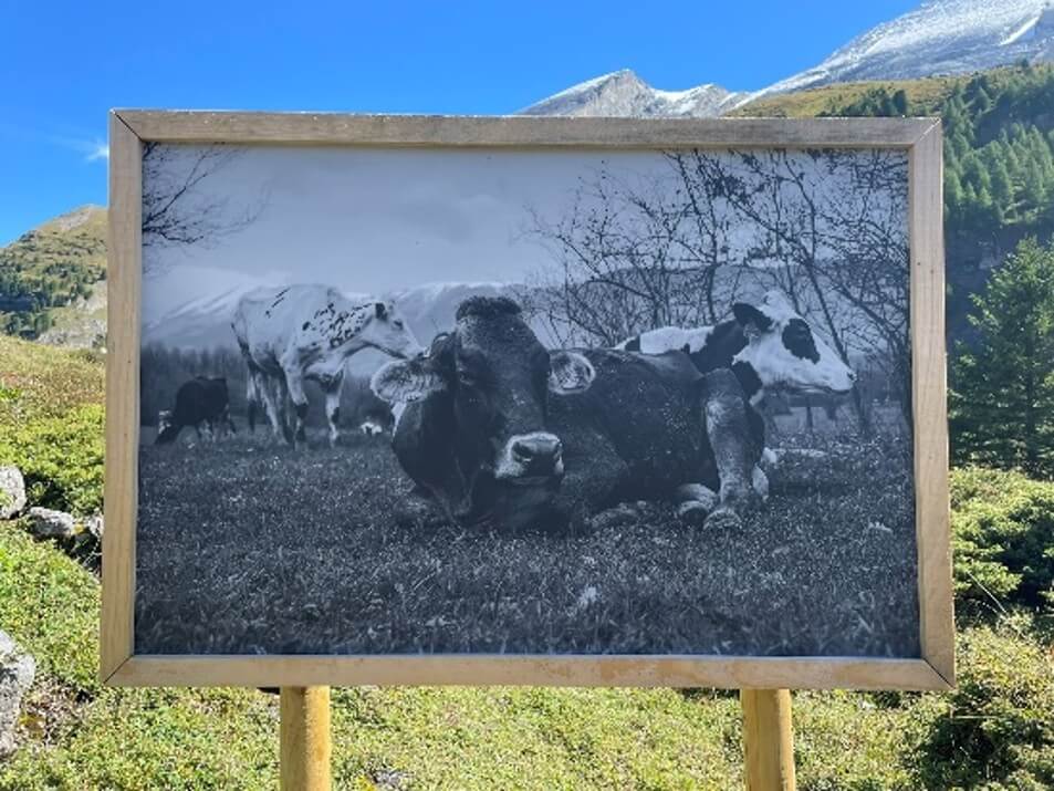 Kultur 02