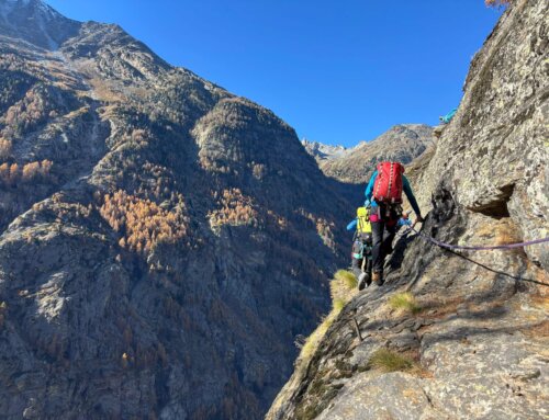 09.11.2024 / Alpiner Jägerweg Saas Balen