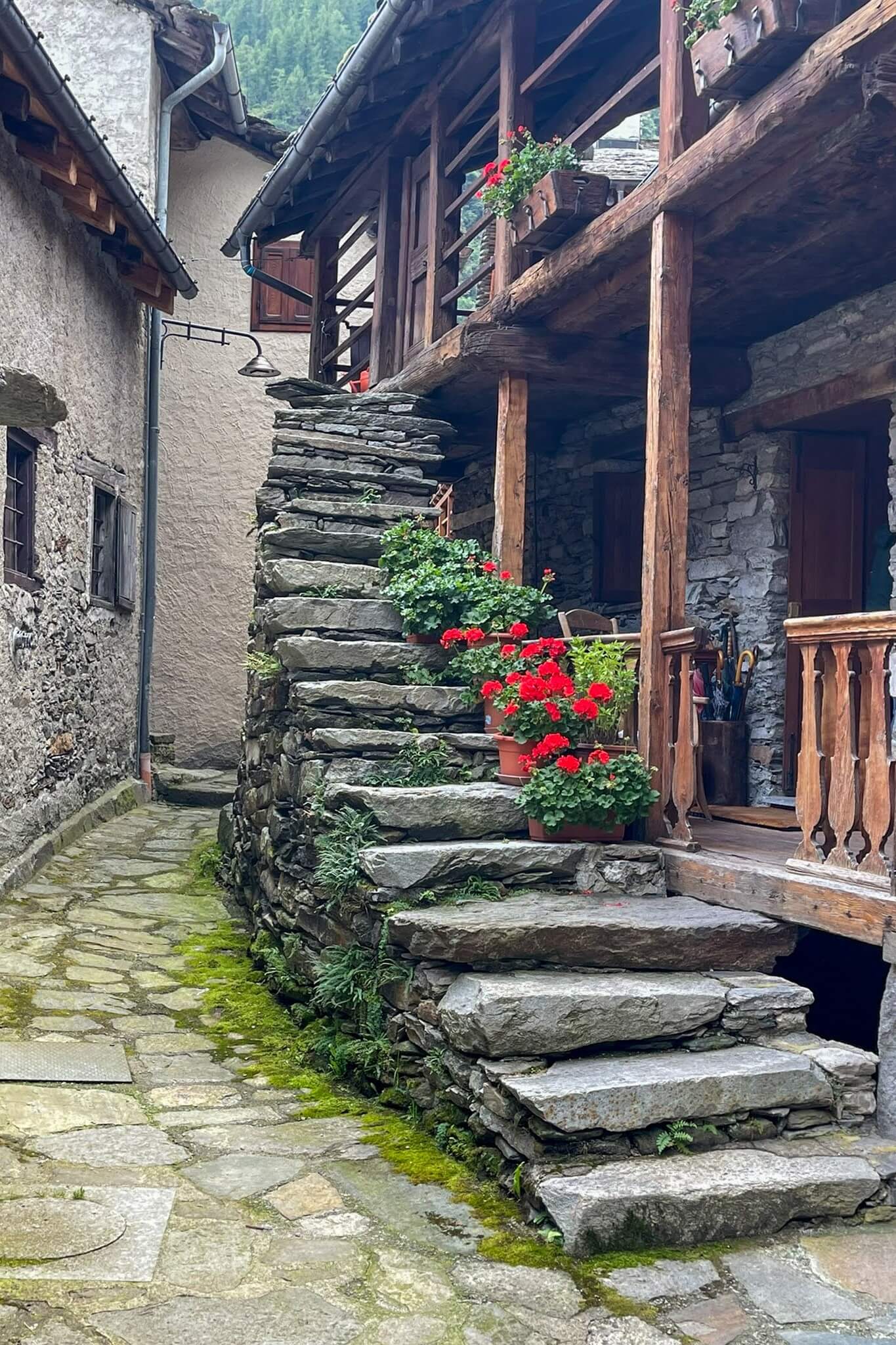 GTA Carcoforo Rima Alagna-30