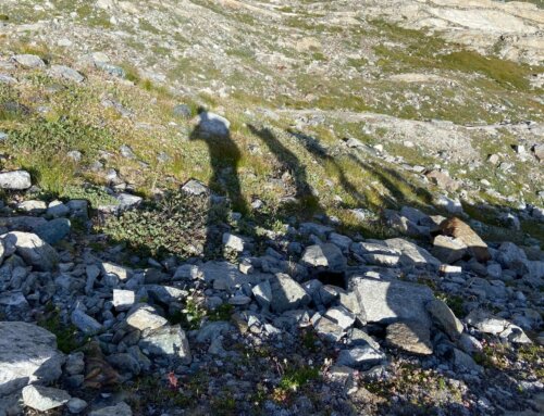 11.08.2025 / Grünberghorn