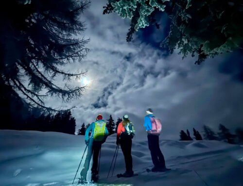 05.12.2025 / Magische Vollmondnacht