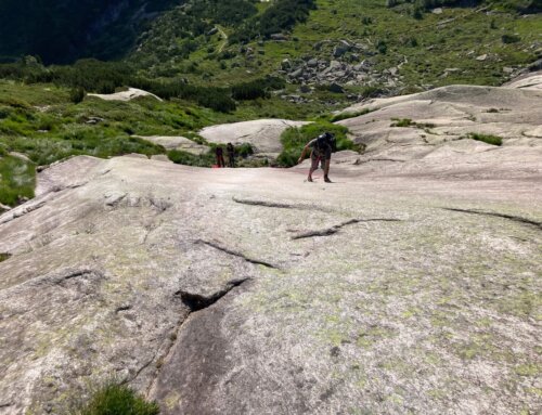 19.07.2025 / MSL Grimselpass