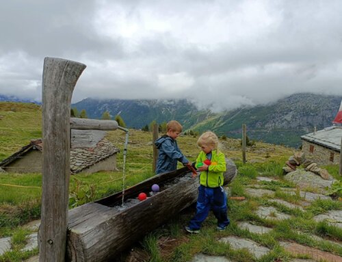 07.06.2025 / Putztag Grubenalp