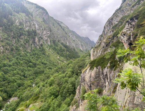 04.06.2025 / Frühlingswanderung Salwald