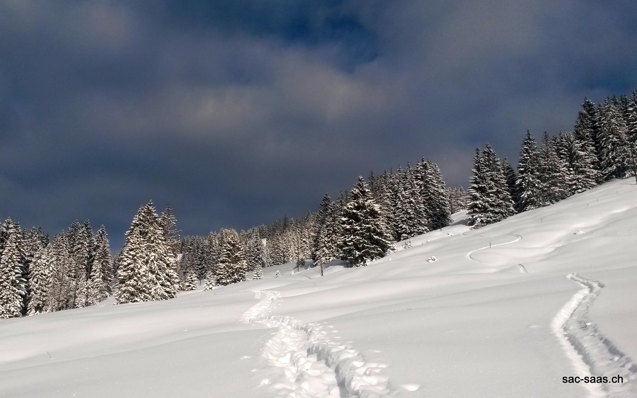 Schwarzsee (16)